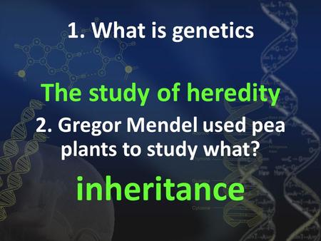 1. What is genetics The study of heredity 2. Gregor Mendel used pea plants to study what? inheritance.