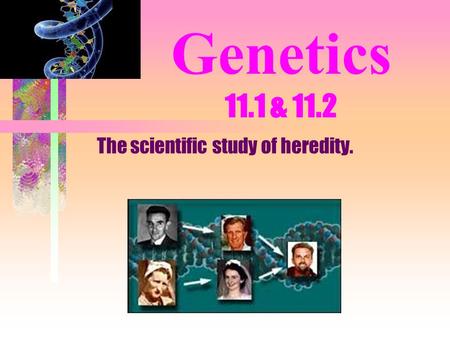 Genetics 11.1 & 11.2 The scientific study of heredity.