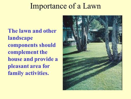 Importance of a Lawn The lawn and other landscape components should complement the house and provide a pleasant area for family activities.