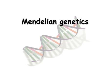 Mendelian genetics Gregor Mendel Father of modern genetics Researched with pea plants.