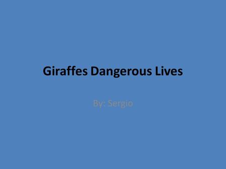 Giraffes Dangerous Lives By: Sergio. Table of Contents.