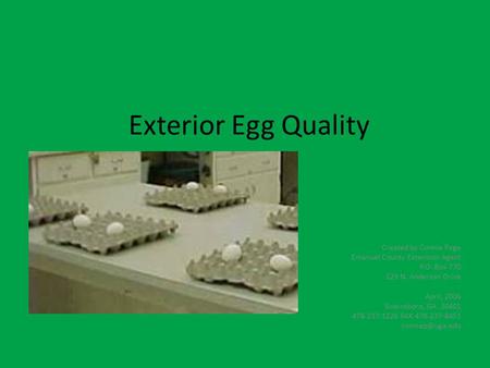 Exterior Egg Quality Created by Connie Page Emanuel County Extension Agent P.O. Box 770 129 N. Anderson Drive April, 2006 Swainsboro, GA 30401 478-237-1226.