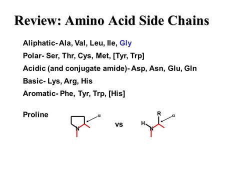 Review: Amino Acid Side Chains Aliphatic- Ala, Val, Leu, Ile, Gly Polar- Ser, Thr, Cys, Met, [Tyr, Trp] Acidic (and conjugate amide)- Asp, Asn, Glu, Gln.