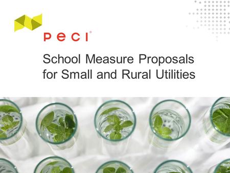 School Measure Proposals for Small and Rural Utilities.
