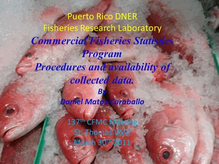 Puerto Rico DNER Fisheries Research Laboratory Commercial Fisheries Statistics Program Procedures and availability of collected data. By Daniel Matos-Caraballo.
