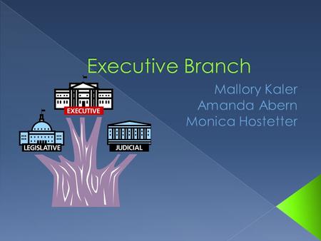  The branch includes › Chief of Executive › Vice President › And any other advisers.