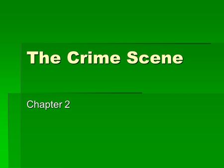 The Crime Scene Chapter 2.