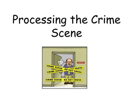 Processing the Crime Scene. First responders job: –SAFETY first (scene and victims) –Secure the scene People, press Don’t move body w/o consent of coroner.
