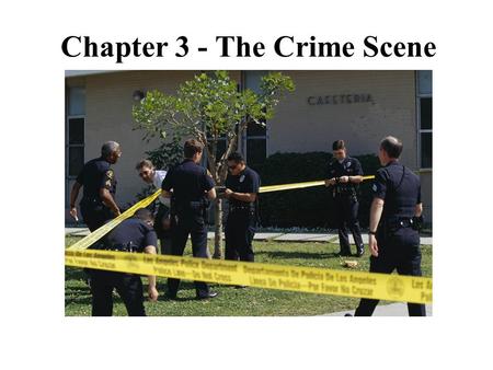 Chapter 3 - The Crime Scene