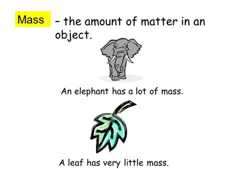 Mass – the amount of matter in an object. An elephant has a lot of mass. A leaf has very little mass.