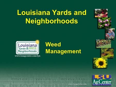 Louisiana Yards and Neighborhoods Weed Management www.lsuagcenter.com/lyn.