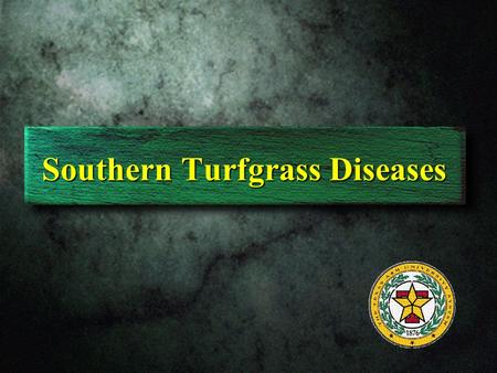 Southern Turfgrass Diseases. Bermudagrass leaf spot.