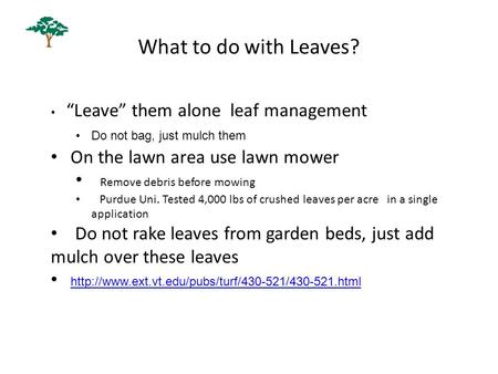 What to do with Leaves? “Leave” them alone leaf management Do not bag, just mulch them On the lawn area use lawn mower Remove debris before mowing Purdue.