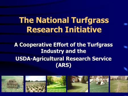 The National Turfgrass Research Initiative A Cooperative Effort of the Turfgrass Industry and the USDA-Agricultural Research Service (ARS)