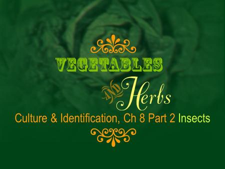 Culture & Identification, Ch 8 Part 2 Insects. Cultivation & Identification, Chapter 8, Insects Vegetable Pests