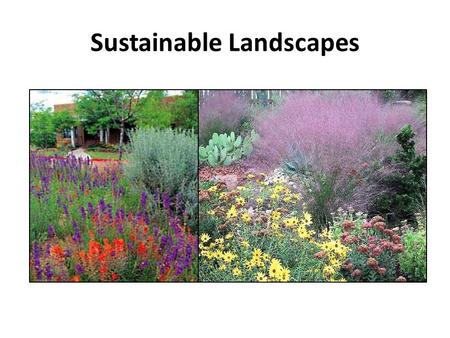 Sustainable Landscapes. Sustainability “meeting the needs of today’s population without diminishing the ability of future populations to meet their needs.”