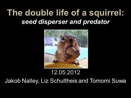 The double life of a squirrel: seed disperser and predator 12.05.2012 Jakob Nalley, Liz Schultheis and Tomomi Suwa.