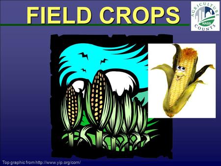 FIELD CROPS Top graphic from