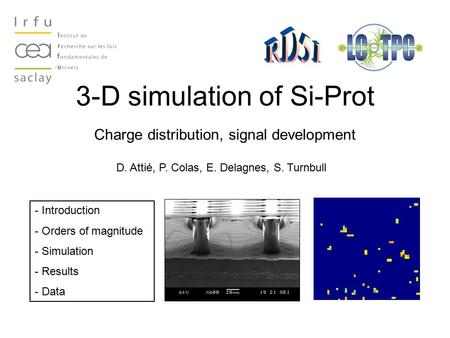 3-D simulation of Si-Prot Charge distribution, signal development D. Attié, P. Colas, E. Delagnes, S. Turnbull - Introduction - Orders of magnitude - Simulation.
