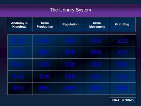 The Urinary System $100 $100 $100 $100 $100 $200 $200 $200 $200 $200