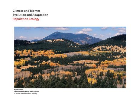 Climate and Biomes Evolution and Adaptation Population Ecology.