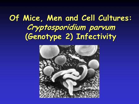 Of Mice, Men and Cell Cultures: Cryptosporidium parvum (Genotype 2) Infectivity.
