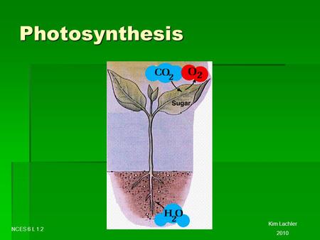 Photosynthesis Kim Lachler 2010 NCES 6 L 1.2. Photosynthesis  Plants can make their own food through a process called Photosynthesis.  Photo = light.
