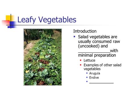 Leafy Vegetables Introduction  Salad vegetables are usually consumed raw (uncooked) and ______________with minimal preparation  Lettuce  Examples of.