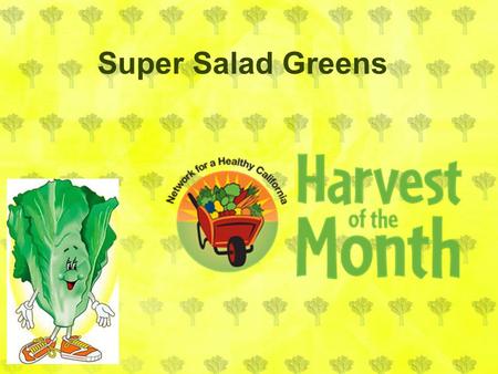 Super Salad Greens. Salad greens are a leaf that we eat. Salad greens are also called lettuce. Bolting is when a plant sends up a flower stalk and blooms.