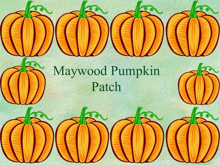 Maywood Pumpkin Patch. §We will need a tractor or roto- tiller to dig for the seeds. We will be putting the pumpkin patch on the far left corner of the.