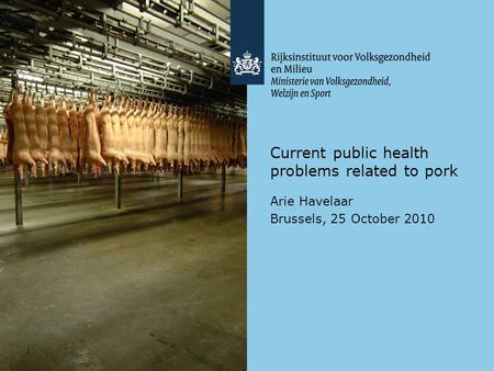 1 Current public health problems related to pork Arie Havelaar Brussels, 25 October 2010.
