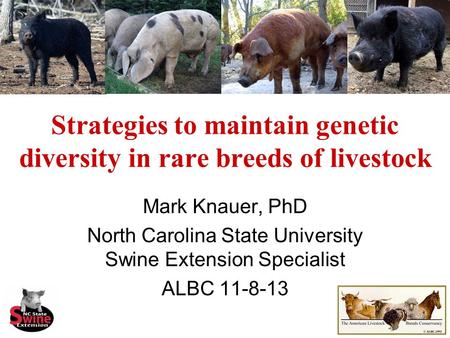 Strategies to maintain genetic diversity in rare breeds of livestock Mark Knauer, PhD North Carolina State University Swine Extension Specialist ALBC 11-8-13.