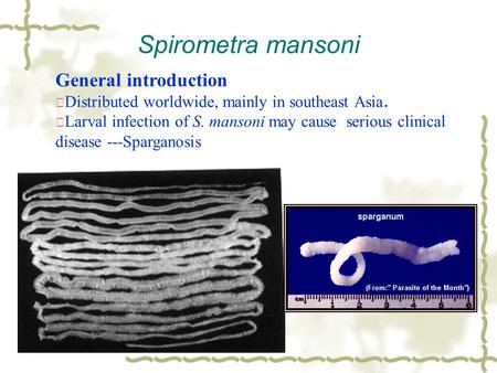 Spirometra mansoni General introduction