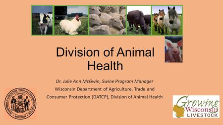 Division of Animal Health Dr. Julie Ann McGwin, Swine Program Manager Wisconsin Department of Agriculture, Trade and Consumer Protection (DATCP), Division.