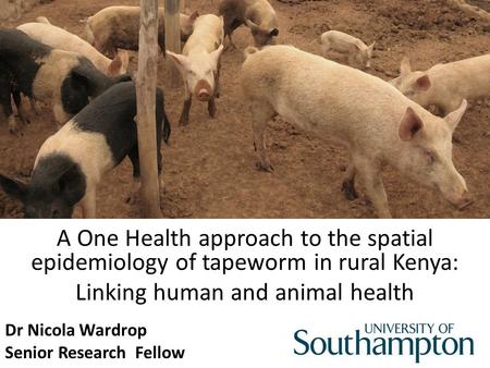 A One Health approach to the spatial epidemiology of tapeworm in rural Kenya: Linking human and animal health Dr Nicola Wardrop Senior Research Fellow.