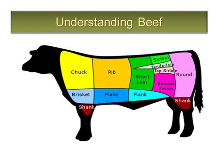 Understanding Beef.