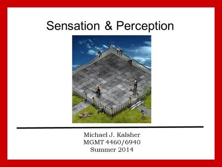 Sensation & Perception Michael J. Kalsher MGMT 4460/6940 Summer 2014.