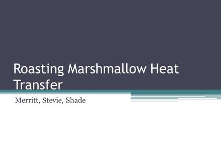 Roasting Marshmallow Heat Transfer Merritt, Stevie, Shade.