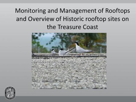 Monitoring and Management of Rooftops and Overview of Historic rooftop sites on the Treasure Coast.