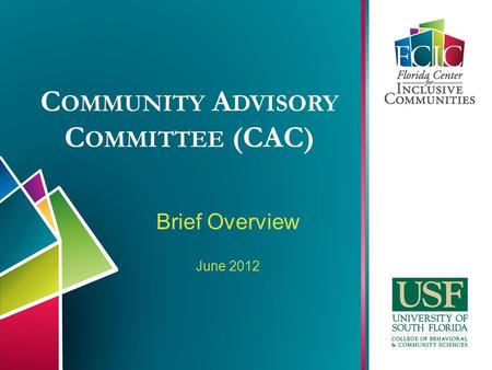 C OMMUNITY A DVISORY C OMMITTEE (CAC) Brief Overview June 2012.