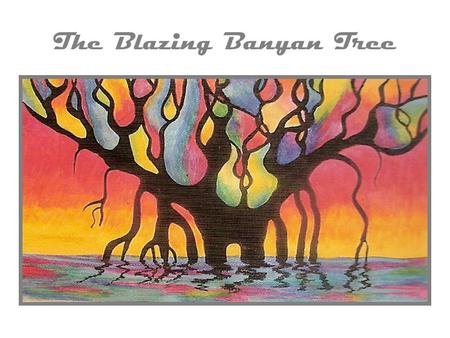 The Blazing Banyan Tree. Monday/Tuesday Art Content Objective: I can identify and draw the key structures of the banyan tree. Language objective: I will.