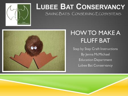 HOW TO MAKE A FLUFF BAT Step by Step Craft Instructions By Jenna McMichael Education Department Lubee Bat Conservancy L UBEE B AT C ONSERVANCY S AVING.
