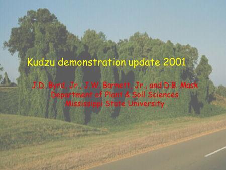 Kudzu demonstration update 2001 J.D. Byrd, Jr., J.W. Barnett, Jr., and D.B. Mask Department of Plant & Soil Sciences Mississippi State University.