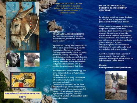 AGIA MARINA DONKEY RESCUE, the Greek Donkey is one of the most misunderstood, mistreated animals in todays society. Agia Marina Donkey Rescue founded in.