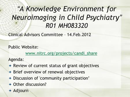 “A Knowledge Environment for Neuroimaging in Child Psychiatry” R01 MH083320 Clinical Advisors Committee – 14.Feb.2012 Public Website: www.nitrc.org/projects/candi_share.