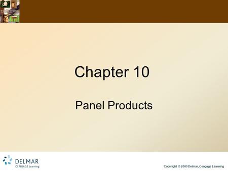 Chapter 10 Panel Products.