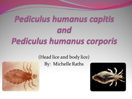Pediculus humanus capitis and Pediculus humanus corporis