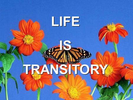 LIFE IS TRANSITORY.