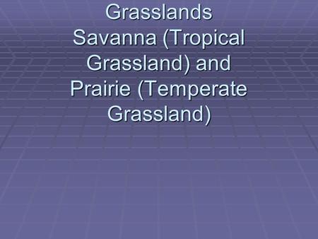 Grasslands Savanna (Tropical Grassland) and Prairie (Temperate Grassland)