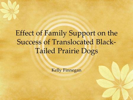 Effect of Family Support on the Success of Translocated Black- Tailed Prairie Dogs Kelly Finnegan.